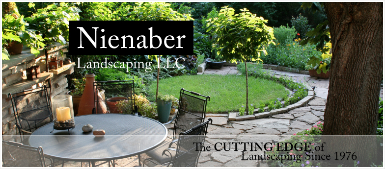 Contact Us Nienaber Landscaping Llc, Best Landscaping Llc